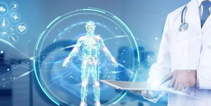 immune system1