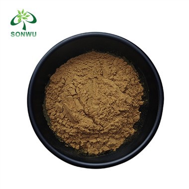 Polvere di ecdisterone